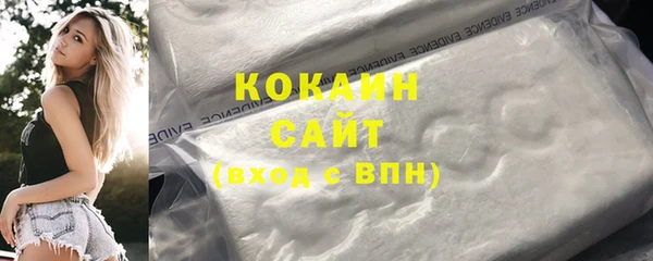 СК Дмитровск