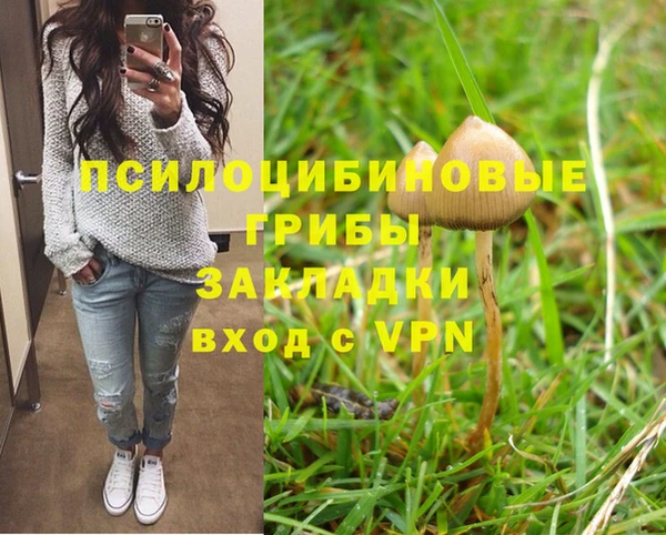 СК Дмитровск