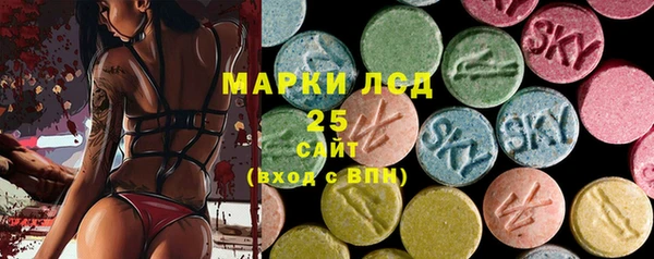 сатива Гусиноозёрск