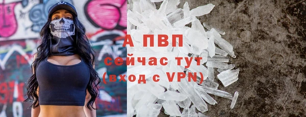 сатива Гусиноозёрск