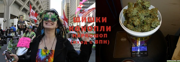 сатива Гусиноозёрск