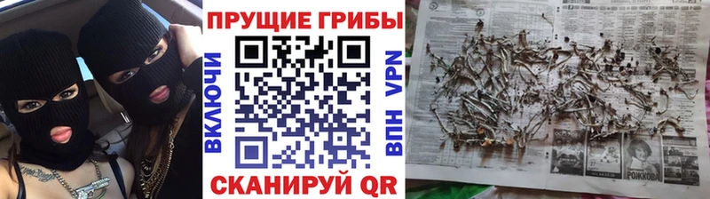 Псилоцибиновые грибы мухоморы  Купить где  Кунгур 